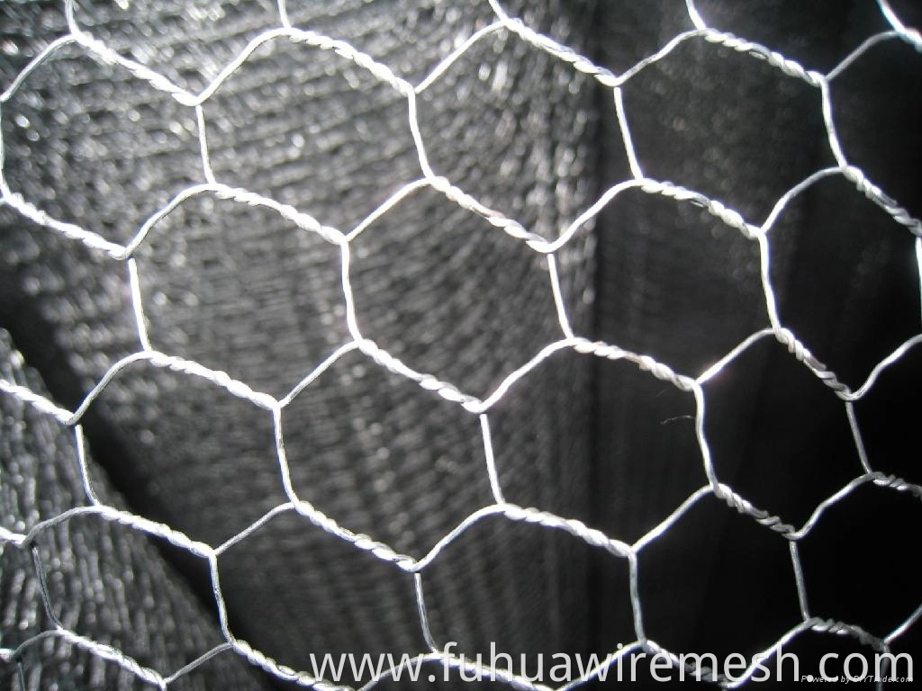 Galvanized Iron Hexagonal Wire Mesh Fencing5